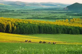 呼伦贝尔7天6晚保姆级自驾游攻略，附详细住宿餐饮酒店及费用明细图片