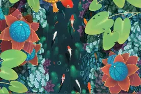 此间趣--你没见过的龟龟的世界图片