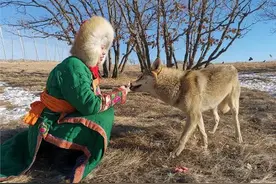 东北婚宴现身狼群，新娘善心喂狼， 两年后母狼竟赶来报恩图片