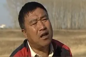 东北富商，养狼120只，耗光千万家产，在“狗”身上找到财富密码图片