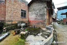 鬱林州抚康乡历史古迹之古井名泉图片