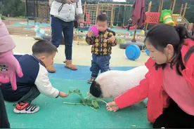 小手拉大手~孩子们在“开心农场”快乐游戏，为冬奥送上祝福图片