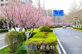 爱航拍丨最美人间四月天，邂逅济南市中区最美春光图片
