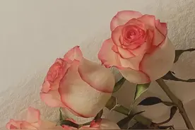 男女交往，想和男人保持长久的关系，就要记住“这句话”图片