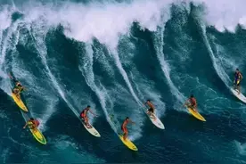 散落人间的14个冷知识，这迷乱的人情风物，让我的智商中了毒图片