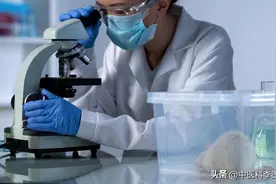 我国自主研发的长效口服降压药，不通过肝脏代谢，有哪些特点？图片