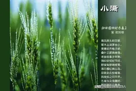 唯美古诗词之二十四节气图片