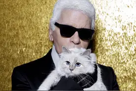 老佛爷卡尔·拉格斐逝世三周年，那只继承3亿美金的猫怎么样了？图片