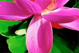 写一句心里话，献给我最爱的人图片