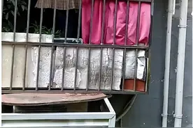 底楼业主私搭“悬空”违建占绿化存隐患 居民忧心忡忡盼尽快拆违图片