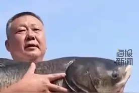 东平湖开湖渔民捕获41.6斤鲢鱼王！图片