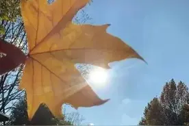 日出有盼，日落有念，所有美好，皆如我所愿图片