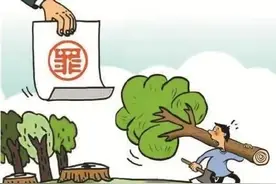事发抚州：挖山毁林想致富，触犯法律满盘输图片