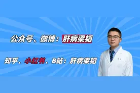 梁韬：脾大（2.8版）图片