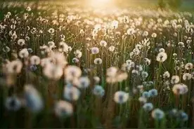 六年级毕业典礼主持串词图片