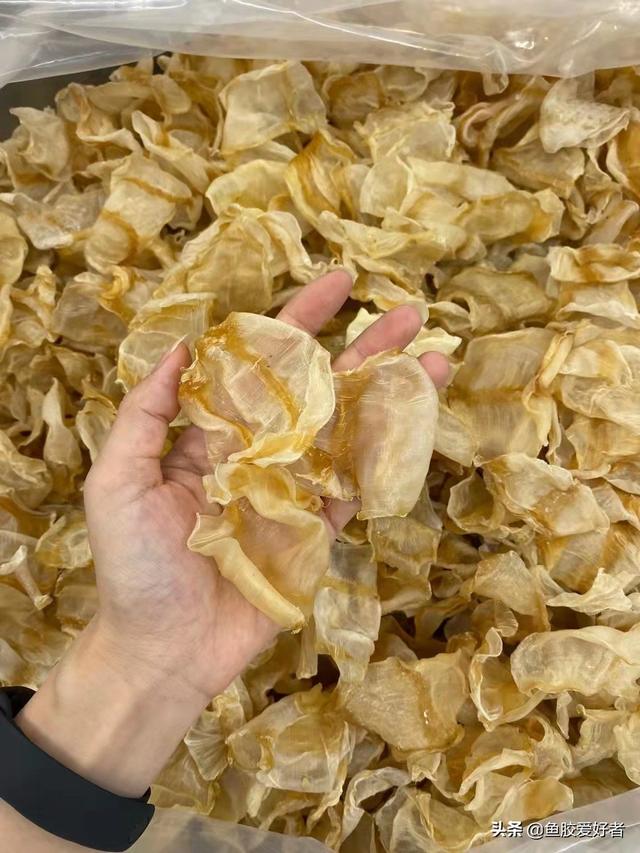 鱼胶价格表 便宜一点 2025年鱼胶的价格