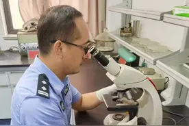 靠什么让湖北被拐25年两兄弟2个月内重逢？图片