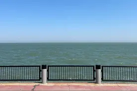 天津人的性格图片