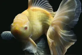 抖音同城热榜第7名!这位博士后火出圈啦！图片