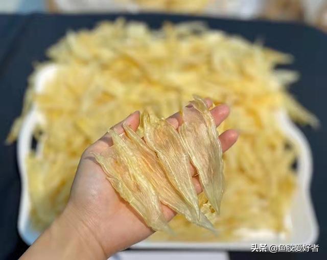 花胶减肥可以吃吗 花胶减肥可以吃吗百度百科