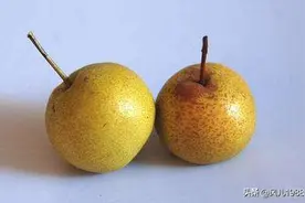 别看他丑，可他是个宝，你知道酸梨有什么功效吗？图片