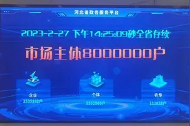 这张营业执照“不一般”！河北第800万户市场主体诞生图片