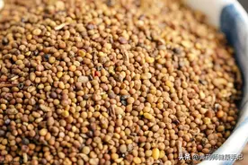 一味菟丝子，不仅阴阳双补，还补脾、养肝、益肾，平和补虚佳品图片