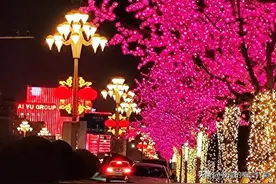 读书记一一《梦的解析》梦中的一切事物都是被明确决定的（37）图片