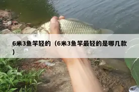 6米3鱼竿轻的（6米3鱼竿最轻的是哪几款）图片