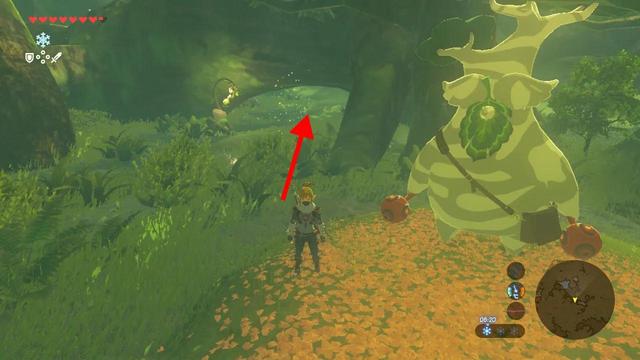 塞尔达传说之旷野之息全神庙位置（六）——森林之塔