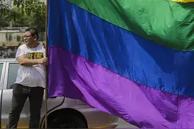 国际不再恐同日，说一下动物间的同性恋行为图片