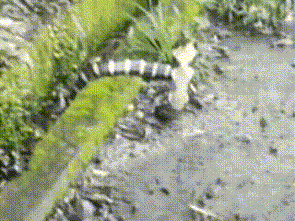 太惊悚了，广西忻城图片