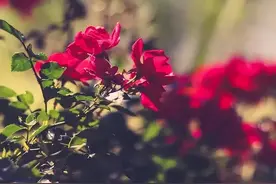 一个人，如果能在这4件事上保持低调，真的不简单图片