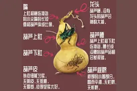 认识文玩葫芦图片