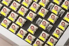 凯华 & 迈从联合定制机械键盘轴体发布，可选琉光冰淇淋、云豹轴图片