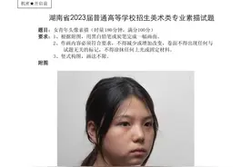 湖南省2023届美术模拟联考，你预料到了吗？图片