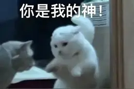 搞笑表情包：都是哥们图片