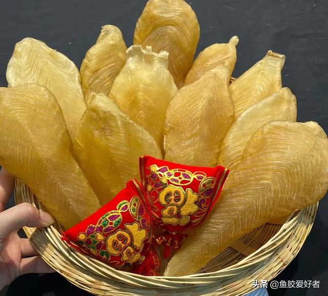 鳕鱼胶和黄花胶的功效一样吗 2026年鳕鱼胶和黄花胶的区别