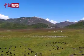 探访新乌鞘岭隧道：在平均海拔3000米的河西走廊上挖隧道，究竟有多难？图片