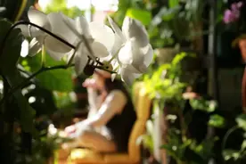4.5平方米种60多种植物，她将自家阳台变“私家花园”图片
