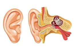 宝宝耳屎好多，怎样清理才不伤耳朵？图片