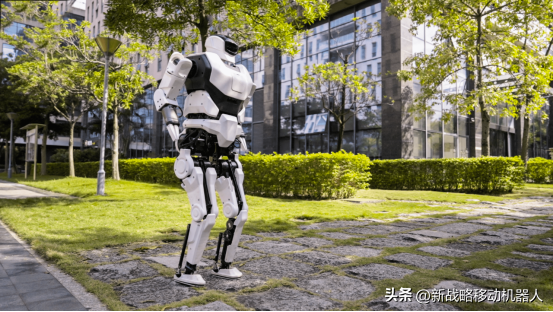 物流机器人Dexterity计划在美IPO；茅台跨界押注人形机器人