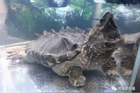 困水还要盖盖子？困水问题居然也有这么多的烦恼？图片