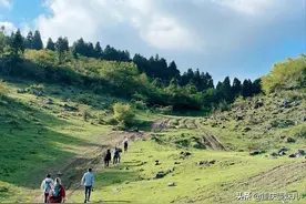 假期不出重庆的宝藏路线图片
