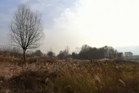 江苏：2023年农民基础养老金涨了多少？丧葬费能领多少？图片