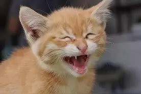 我卖出股票的三大原则图片