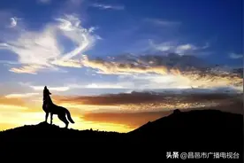 每个中国姓氏都有专属图腾，你姓什么？看看你的“保护神”长啥样图片