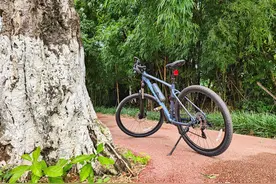 咸鱼假货多，买捷安特ATX810山地车经历分享，附南宁绿道骑行测试图片