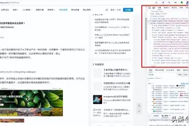 如何复制网页上不能复制的文字？图片