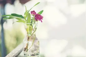 若觉生活太难，不妨读读《菜根谭》图片